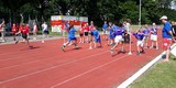 Pendelestafette 13.jpg